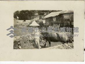 登錄號:KH2006.028.0018藏品圖，第336張