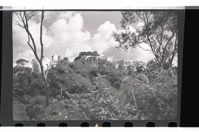 登錄號:KH2002.019.0076藏品圖，第36張