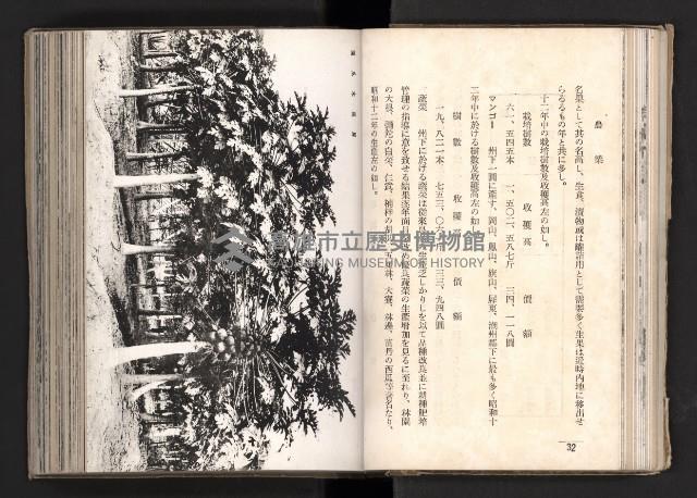 登錄號:KH2003.008.0167藏品圖，第36張