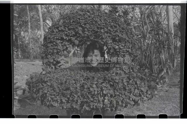 登錄號:KH2002.009.0027藏品圖，第36張