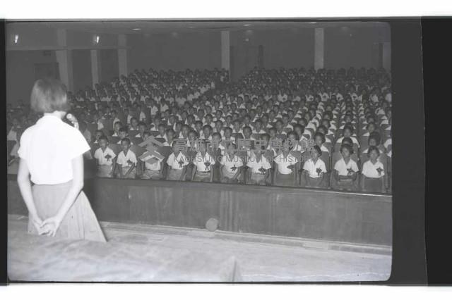 登錄號:KH2002.007.0247藏品圖，第36張