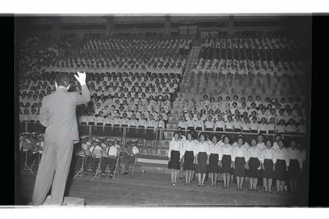 登錄號:KH2002.012.0563藏品圖，第36張