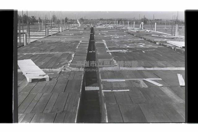 登錄號:KH2002.007.0336藏品圖，第22張