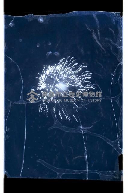 登錄號:KH2002.012.0221藏品圖，第22張