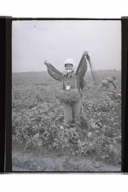 登錄號:KH2002.019.0264藏品圖，第22張