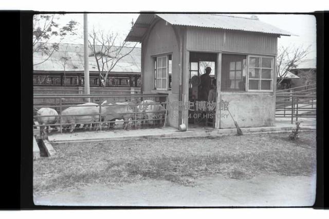 登錄號:KH2002.016.0074藏品圖，第22張