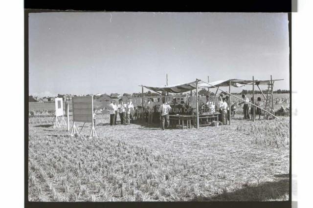 登錄號:KH2002.007.0322藏品圖，第22張