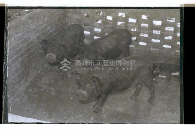 登錄號:KH2002.007.0152藏品圖，第22張