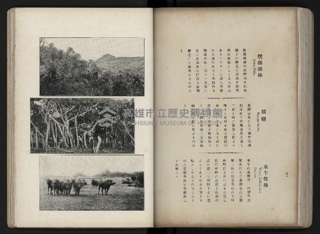 《臺灣寫真帖》藏品圖，第82張