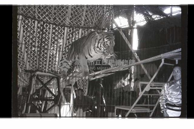 登錄號:KH2002.017.0161藏品圖，第62張