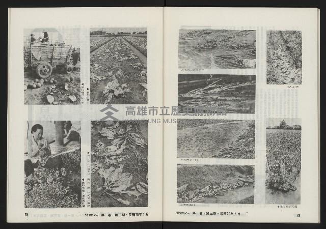 《亞洲人復刊號NO.3》藏品圖，第42張