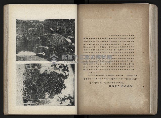 《臺灣寫真帖》藏品圖，第72張