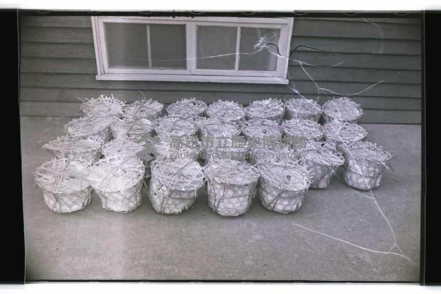 登錄號:KH2002.012.0320藏品圖，第12張