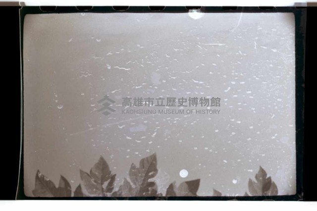 登錄號:KH2002.015.0046藏品圖，第12張
