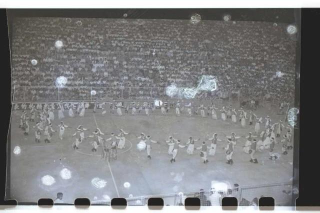 登錄號:KH2002.017.0046藏品圖，第12張