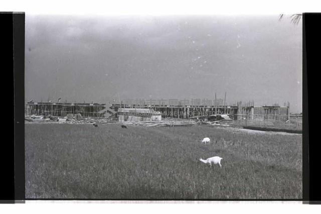 登錄號:KH2002.007.0336藏品圖，第12張