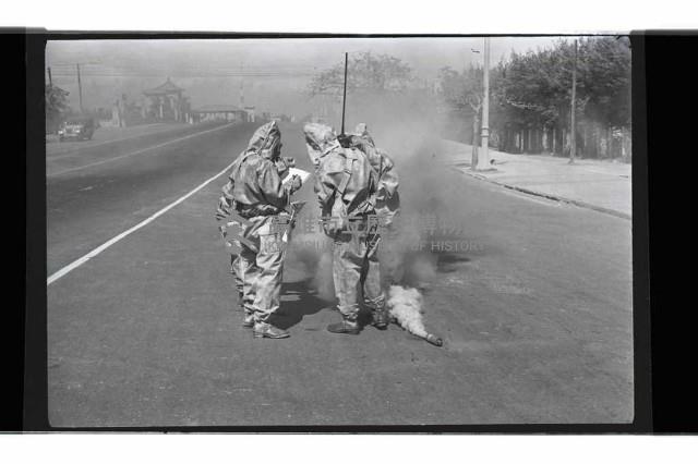 登錄號:KH2002.009.0224藏品圖，第12張