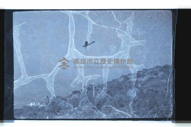 登錄號:KH2002.019.0122藏品圖，第12張