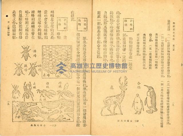 《高級小學 自然課本 第二冊》藏品圖，第14張