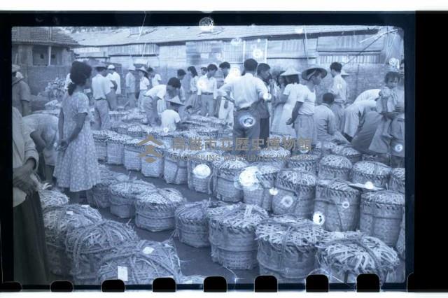 登錄號:KH2002.012.0177藏品圖，第12張