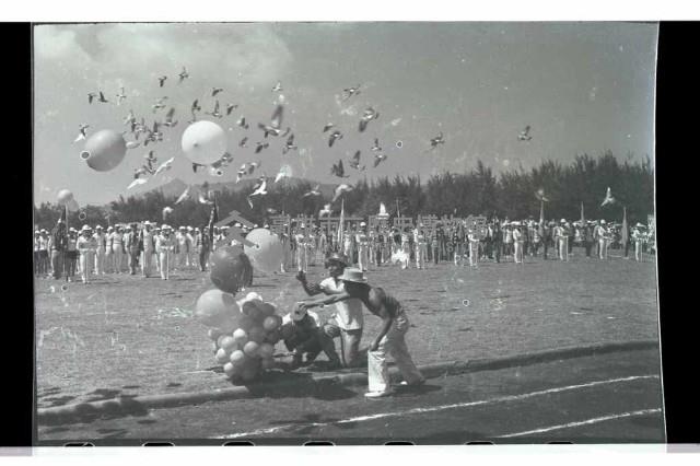 登錄號:KH2002.019.0177藏品圖，第12張