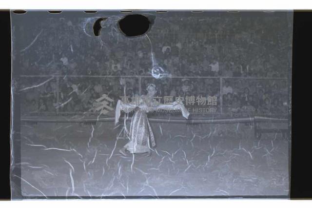 登錄號:KH2002.017.0095藏品圖，第12張