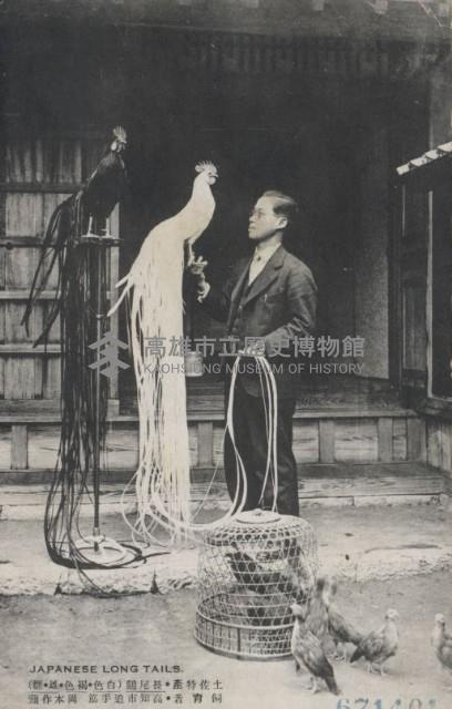 登錄號:KH2003.003.0303藏品圖，第15張