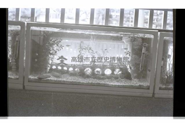 登錄號:KH2002.007.0233藏品圖，第12張