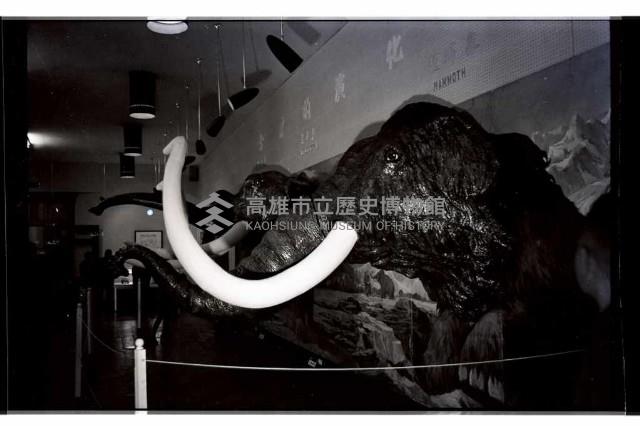 登錄號:KH2002.020.0008藏品圖，第2張