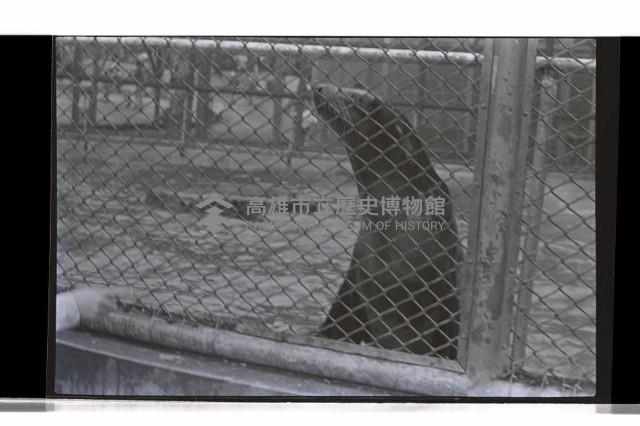 登錄號:KH2002.017.0238藏品圖，第2張