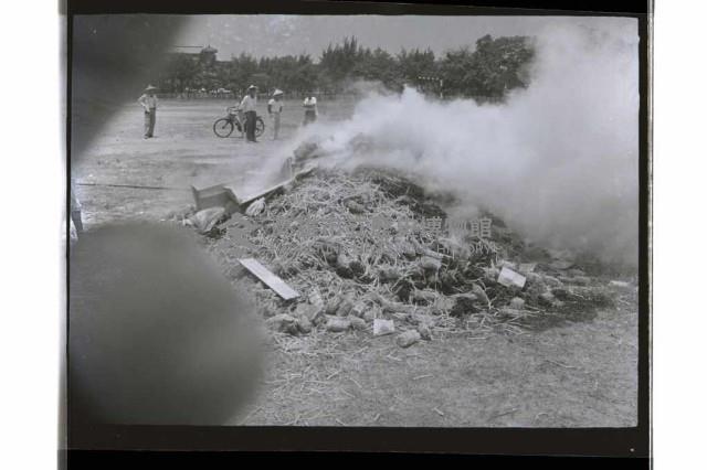 登錄號:KH2002.009.0250藏品圖，第2張