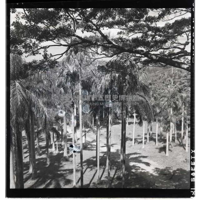 登錄號:KH2002.016.0050藏品圖，第2張