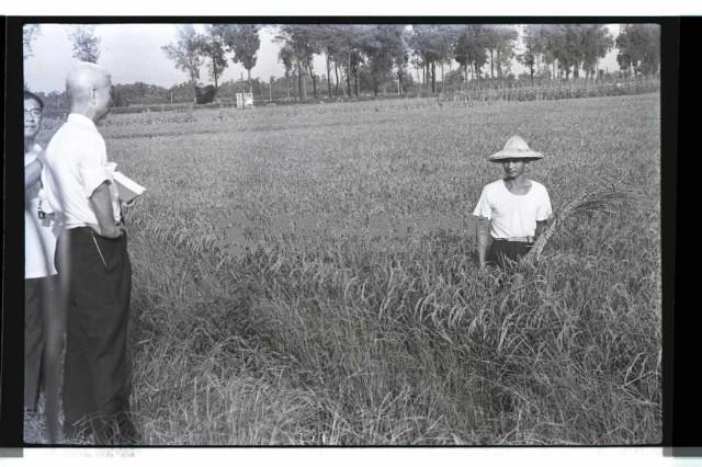 登錄號:KH2002.011.0056藏品圖，第2張