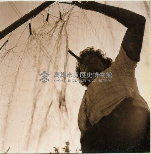 織網的阿媽-中洲-2藏品圖，第2張