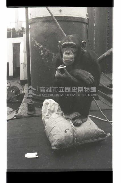 登錄號:KH2002.017.0161藏品圖，第2張