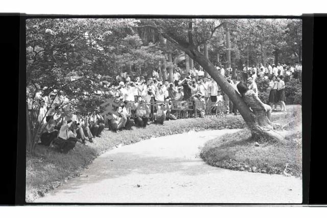 登錄號:KH2002.017.0311藏品圖，第2張