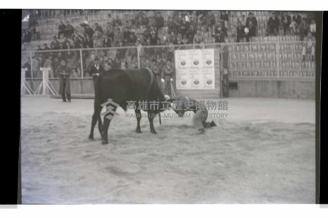 登錄號:KH2002.017.0141藏品圖，第2張