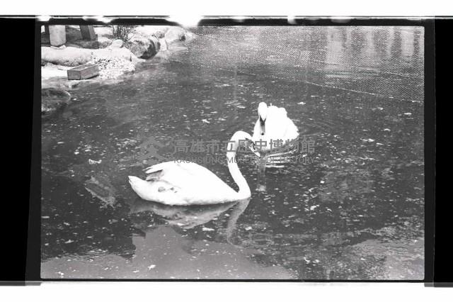 登錄號:KH2002.017.0247藏品圖，第2張