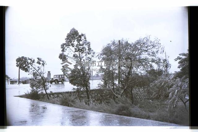 登錄號:KH2002.010.0137藏品圖，第2張