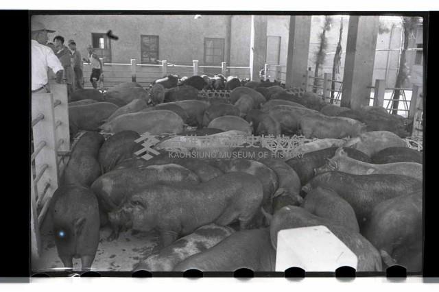 登錄號:KH2002.012.0069藏品圖，第2張