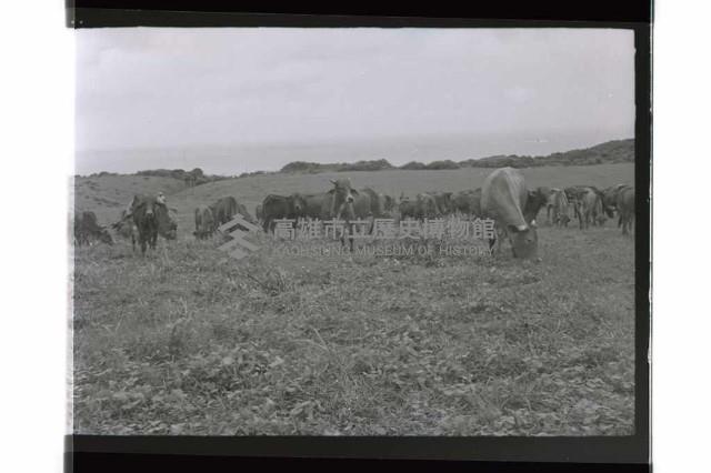 登錄號:KH2002.015.0209藏品圖，第2張