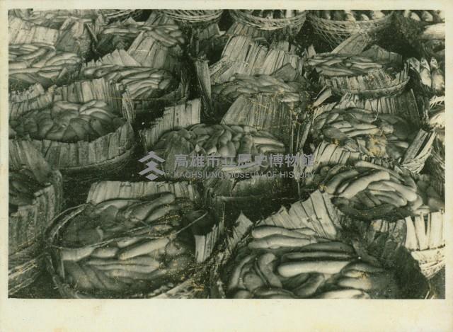 個人、建築及風景照相冊藏品圖，第116張