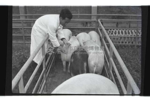 登錄號:KH2002.016.0074藏品圖，第32張