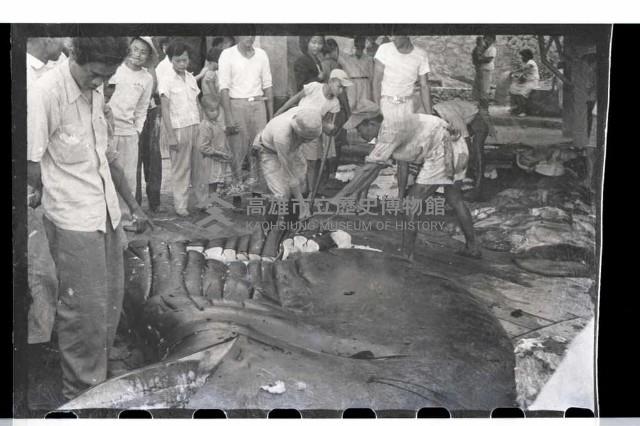 登錄號:KH2002.012.0003藏品圖，第32張