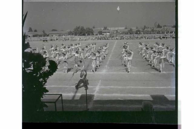 登錄號:KH2002.007.0300藏品圖，第20張