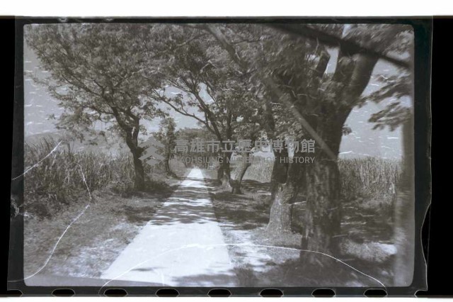登錄號:KH2002.015.0046藏品圖，第20張