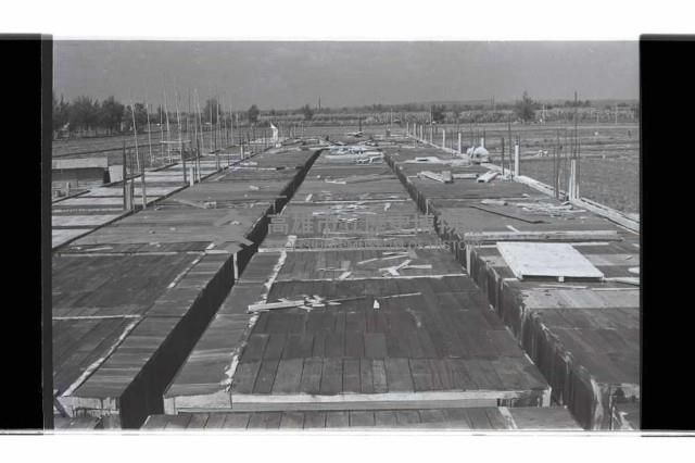 登錄號:KH2002.007.0336藏品圖，第20張