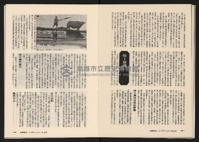 《在野NO.1》藏品圖，第20張