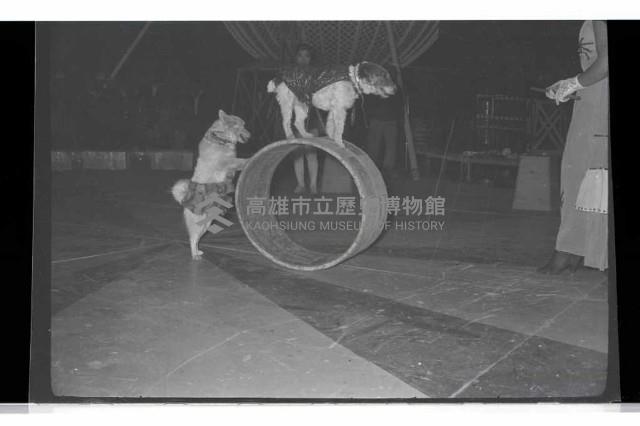 登錄號:KH2002.017.0161藏品圖，第80張