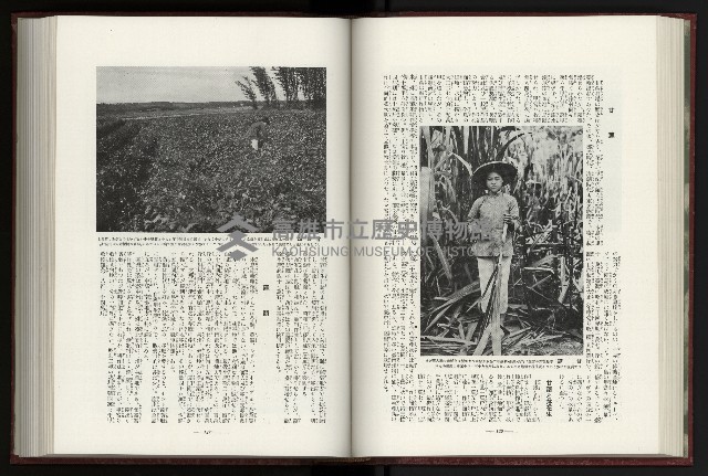 《日本地理風俗大系-  第十五卷 臺灣篇》藏品圖，第80張